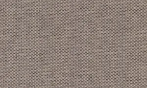 42077A Scope - Raisin