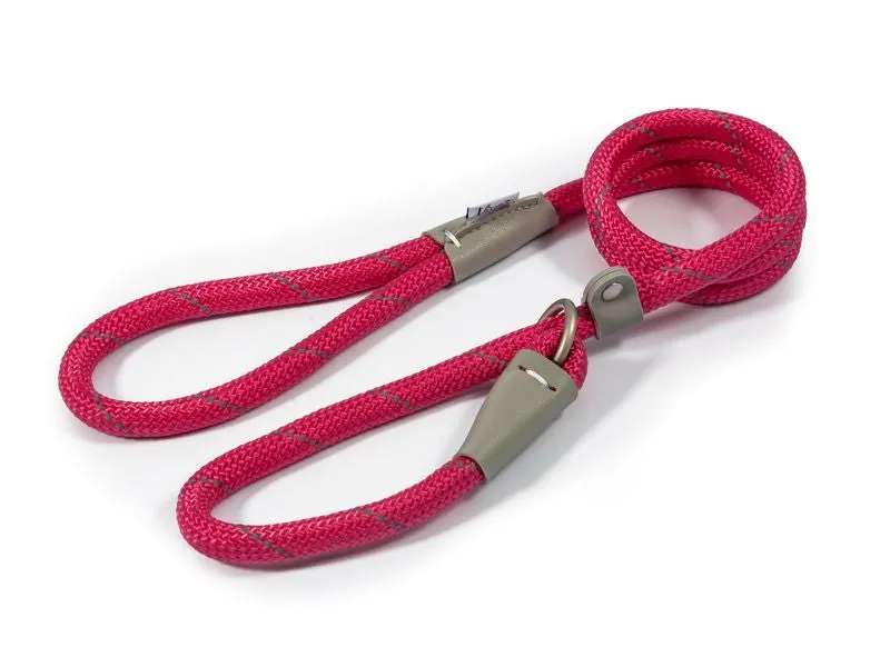 Ancol Viva Dog Slip Lead 1.2m x 10mm