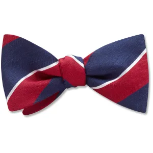 Austin Dog Bow Tie