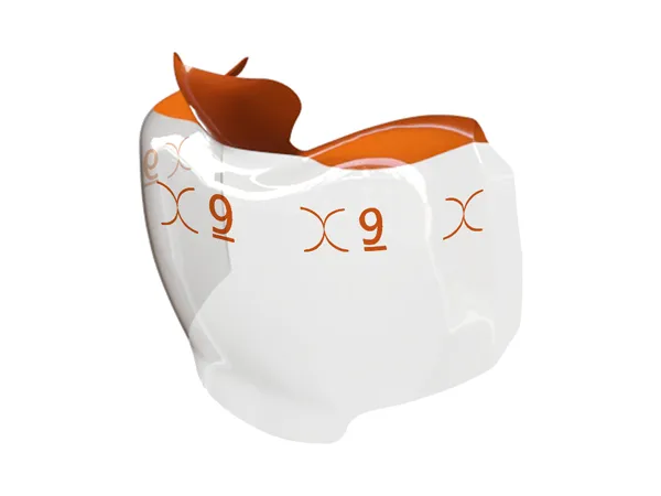 Bioclear™ Evolve Sectional Matrix Refills