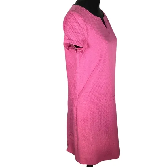 Brooks Brothers Pink Sheath Dress Pique Short Sleeve V-neck Drop Waist Cotton