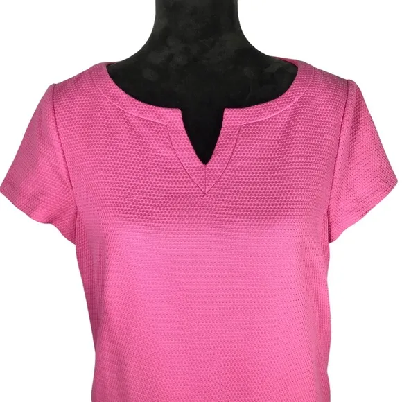 Brooks Brothers Pink Sheath Dress Pique Short Sleeve V-neck Drop Waist Cotton