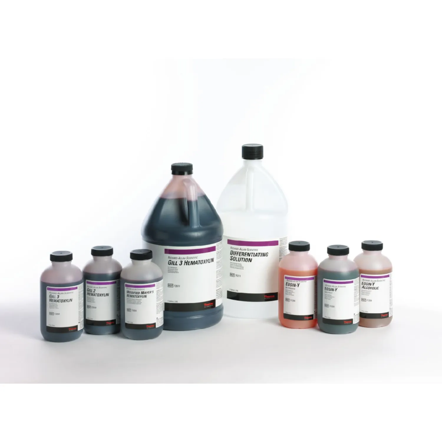 Epredia Signature Series Hematoxylin | Pack of 4
