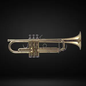 John Packer JP251SW Bb Trumpet, Lacquer (Special Order)