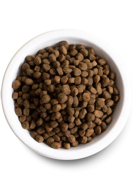 Open Farm Ancient Grains High-Protein Puppy Food