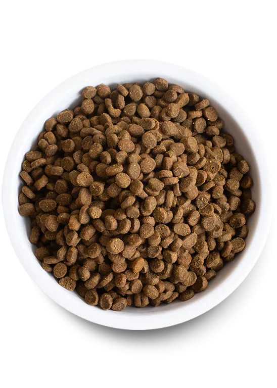 Open Farm Wild-Caught Salmon Dry Cat Food