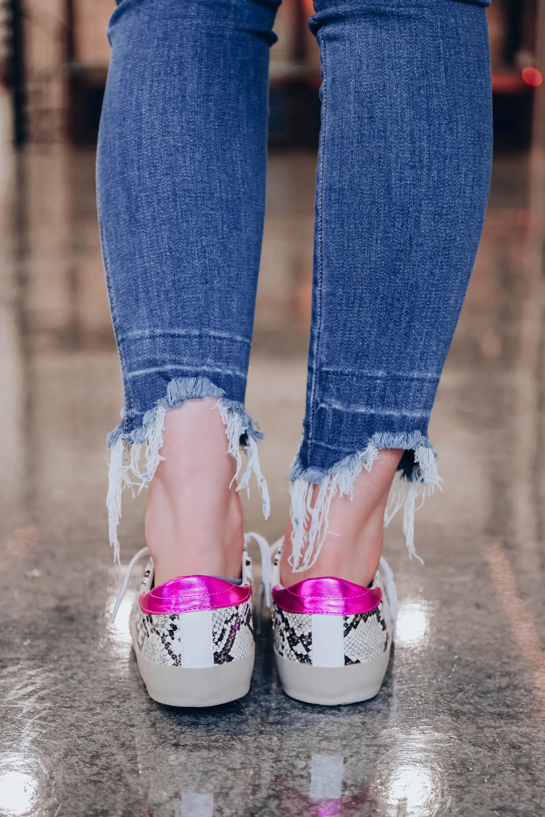Paloma Sneaker by ShuShop - Snake Print