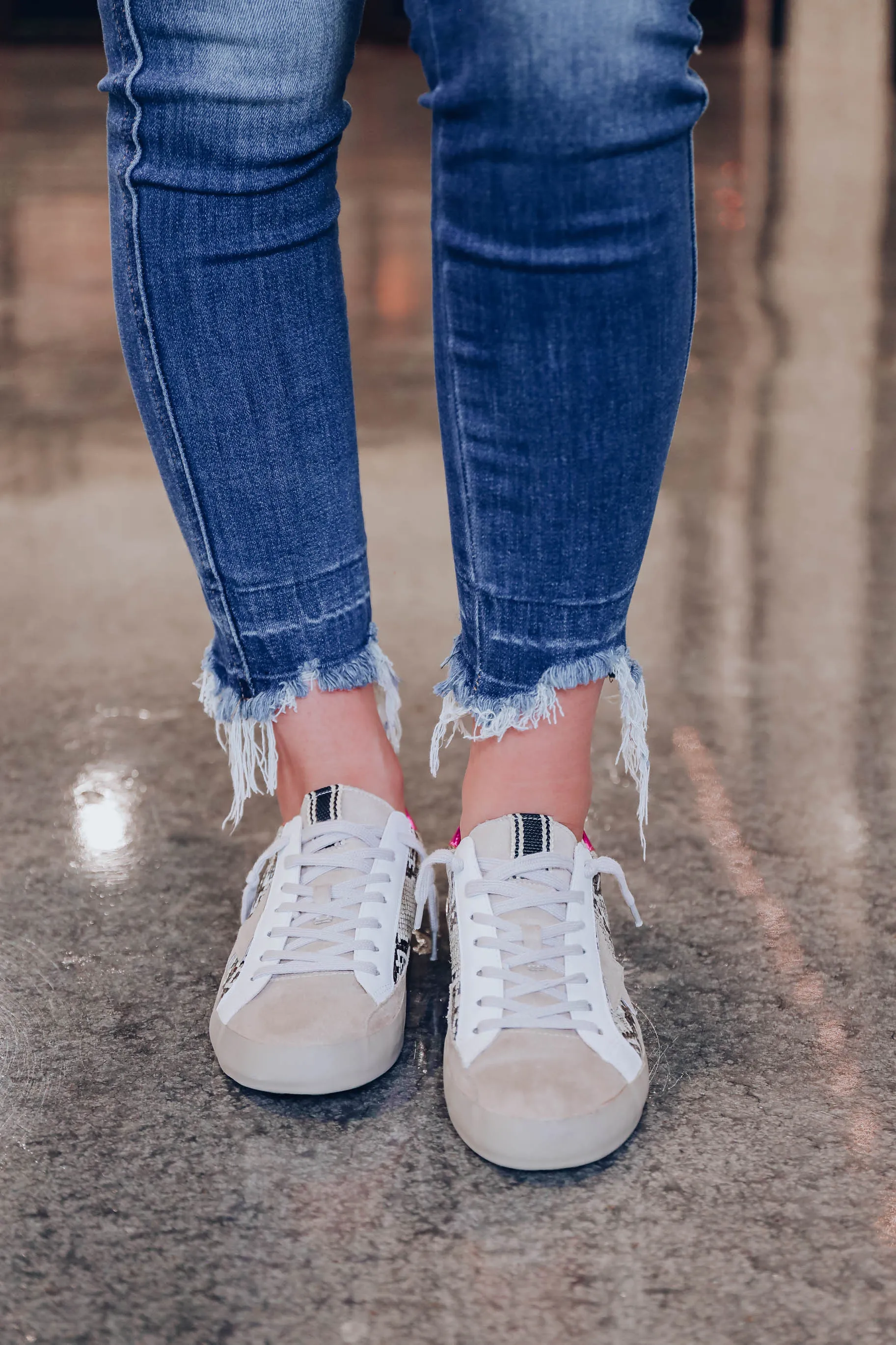 Paloma Sneaker by ShuShop - Snake Print