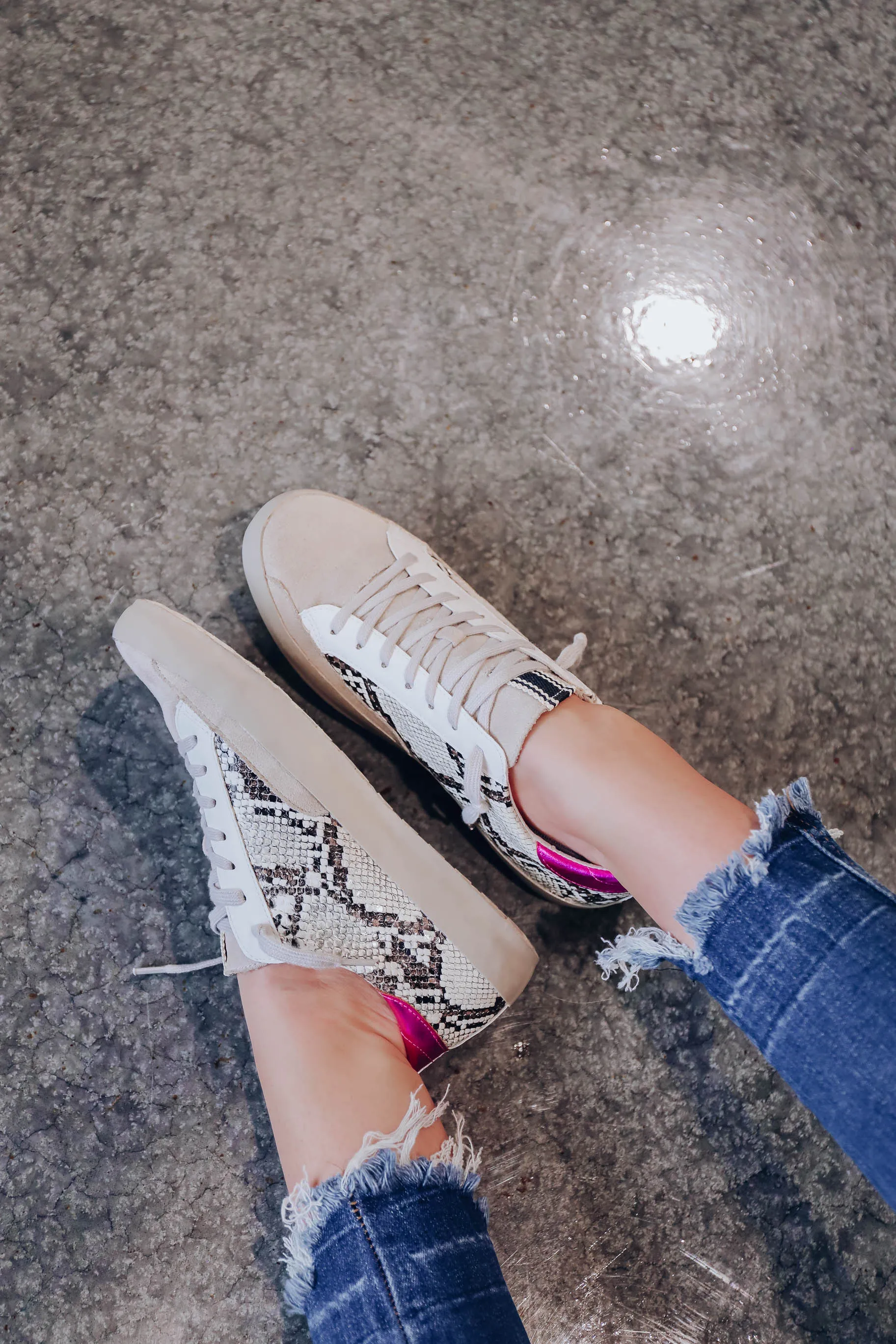Paloma Sneaker by ShuShop - Snake Print