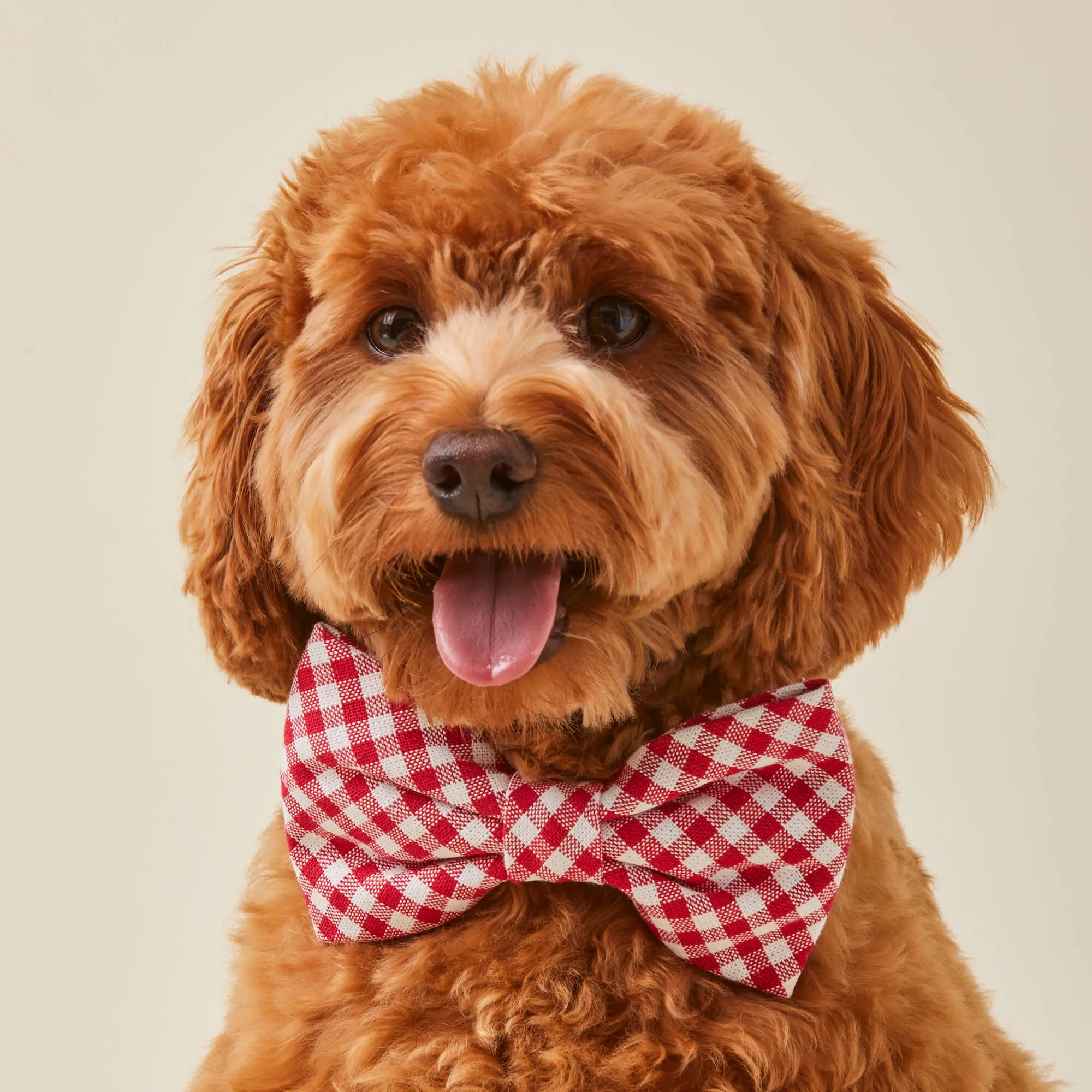Red Gingham Dog Bow Tie