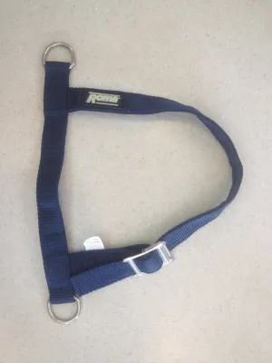 Roma Foal Slip