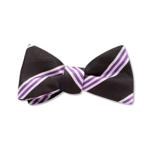 Rothesay - Kids' Bow Ties