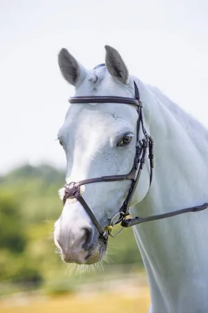 Shires Velociti RAPIDA Grackle Bridle