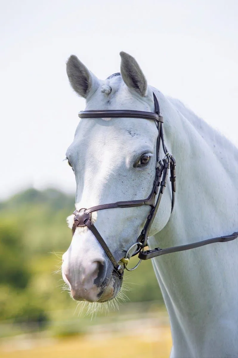Shires Velociti RAPIDA Grackle Bridle