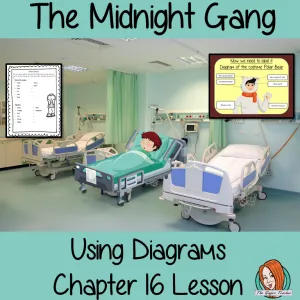 The Midnight Gang Label and Use Diagrams Lesson